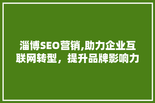 淄博SEO营销,助力企业互联网转型，提升品牌影响力