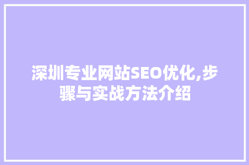深圳专业网站SEO优化,步骤与实战方法介绍