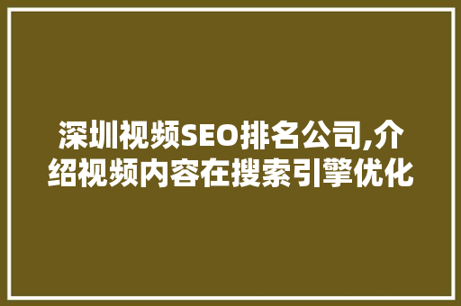 深圳视频SEO排名公司,介绍视频内容在搜索引擎优化中的关键作用