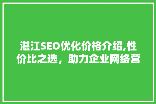 湛江SEO优化价格介绍,性价比之选，助力企业网络营销腾飞