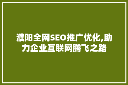 濮阳全网SEO推广优化,助力企业互联网腾飞之路