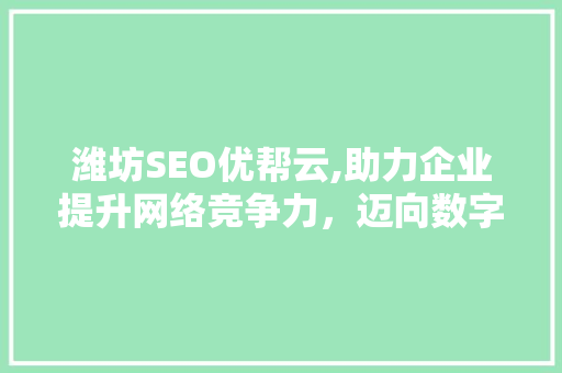 潍坊SEO优帮云,助力企业提升网络竞争力，迈向数字时代 必应SEO