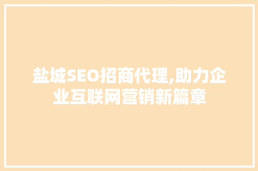 盐城SEO招商代理,助力企业互联网营销新篇章 网站建设公司