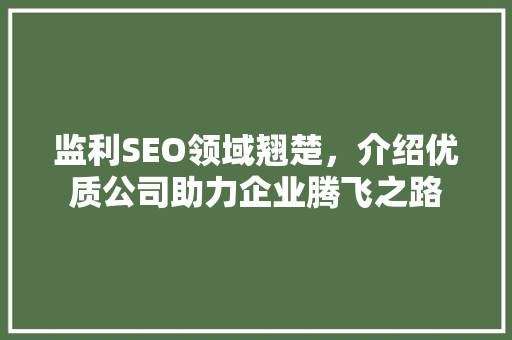 监利SEO领域翘楚，介绍优质公司助力企业腾飞之路