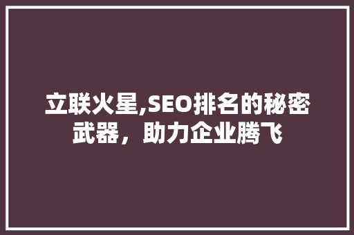 立联火星,SEO排名的秘密武器，助力企业腾飞 网站建设公司