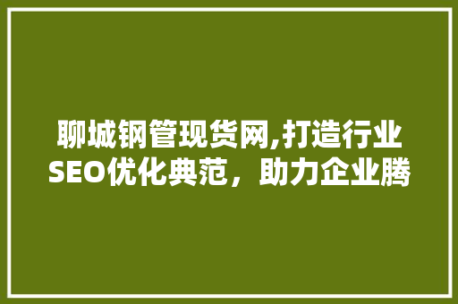 聊城钢管现货网,打造行业SEO优化典范，助力企业腾飞 网站建设公司