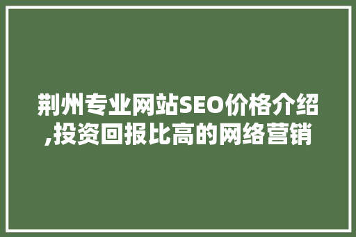 荆州专业网站SEO价格介绍,投资回报比高的网络营销之路