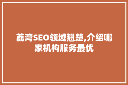 荔湾SEO领域翘楚,介绍哪家机构服务最优 必应SEO