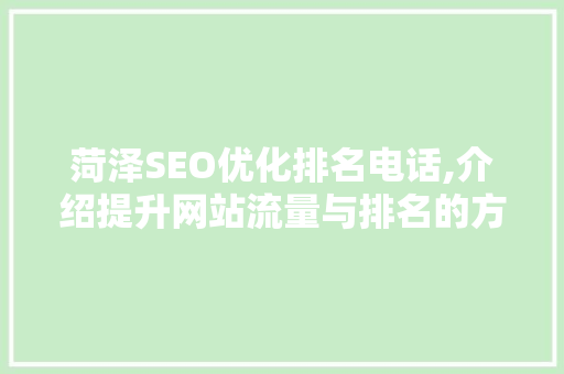 菏泽SEO优化排名电话,介绍提升网站流量与排名的方法