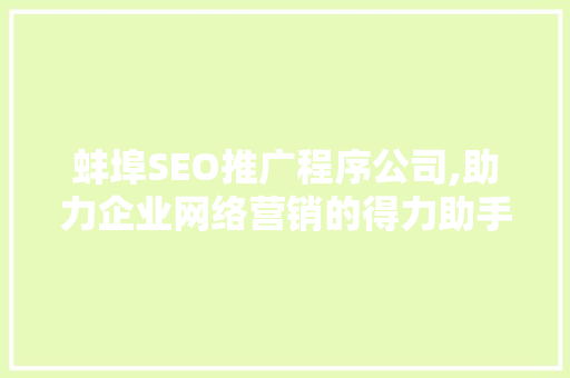 蚌埠SEO推广程序公司,助力企业网络营销的得力助手 必应SEO