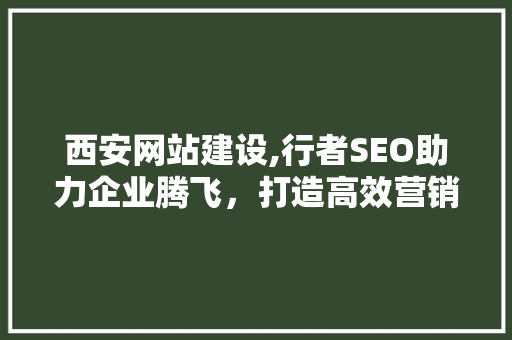 西安网站建设,行者SEO助力企业腾飞，打造高效营销新格局 SEO关键词