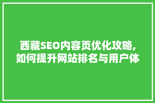 西藏SEO内容页优化攻略,如何提升网站排名与用户体验