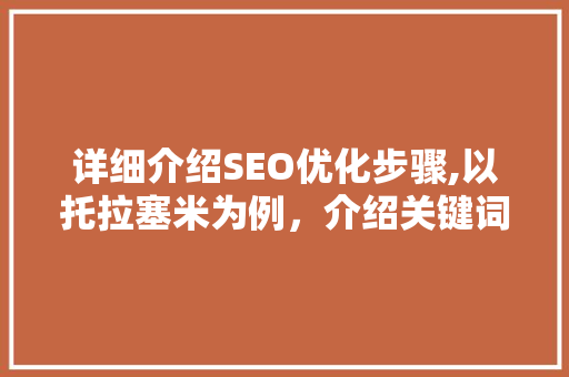详细介绍SEO优化步骤,以托拉塞米为例，介绍关键词布局的艺术