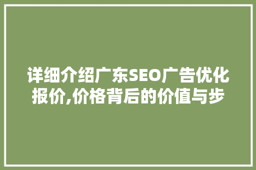 详细介绍广东SEO广告优化报价,价格背后的价值与步骤 百度SEO