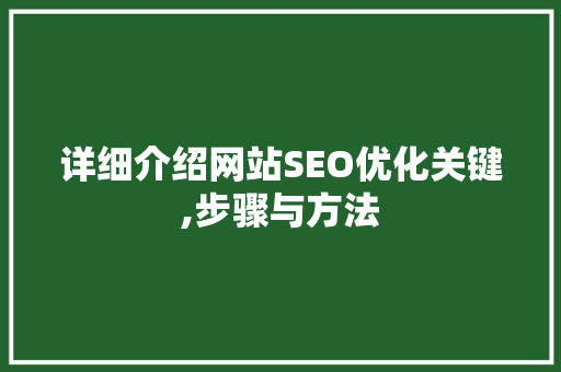 详细介绍网站SEO优化关键,步骤与方法 神马SEO