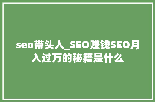 seo带头人_SEO赚钱SEO月入过万的秘籍是什么 seo带头人_SEO赚钱SEO月入过万的秘籍是什么 百度SEO