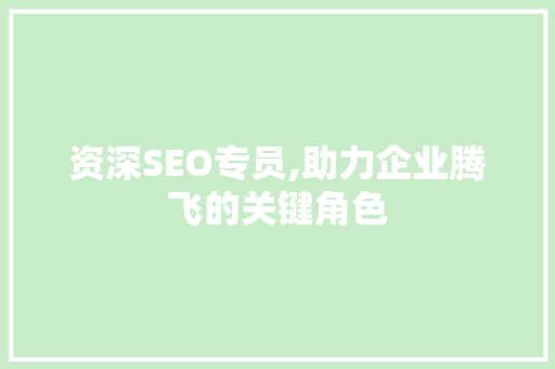 资深SEO专员,助力企业腾飞的关键角色