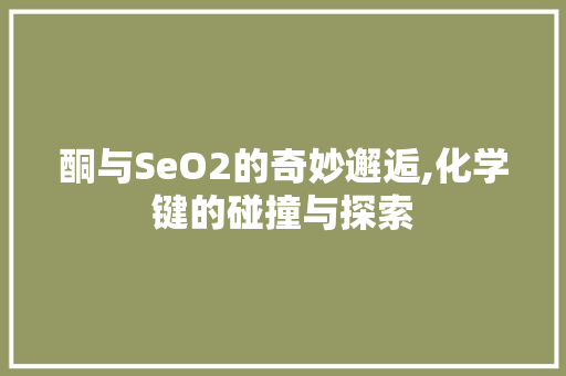 酮与SeO2的奇妙邂逅,化学键的碰撞与探索 必应SEO