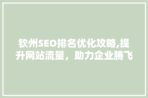 钦州SEO排名优化攻略,提升网站流量，助力企业腾飞