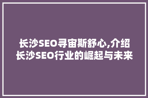长沙SEO寻宙斯舒心,介绍长沙SEO行业的崛起与未来