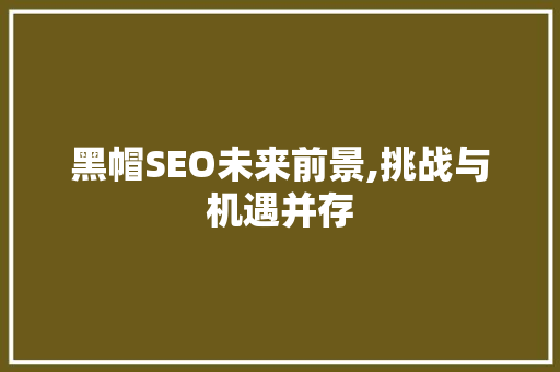 黑帽SEO未来前景,挑战与机遇并存
