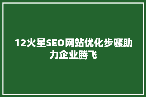 12火星SEO网站优化步骤助力企业腾飞