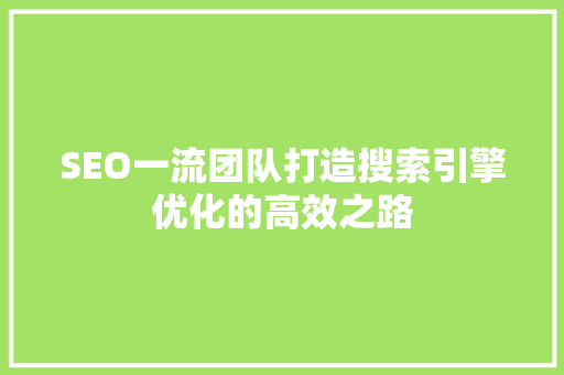 SEO一流团队打造搜索引擎优化的高效之路 百度SEO SEO一流团队打造搜索引擎优化的高效之路 百度SEO