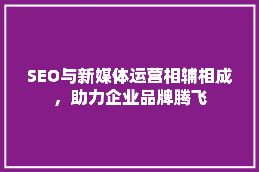 SEO与新媒体运营相辅相成，助力企业品牌腾飞 百度SEO