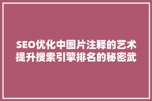 SEO优化中图片注释的艺术提升搜索引擎排名的秘密武器