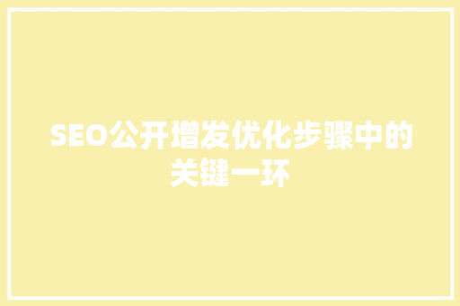 SEO公开增发优化步骤中的关键一环