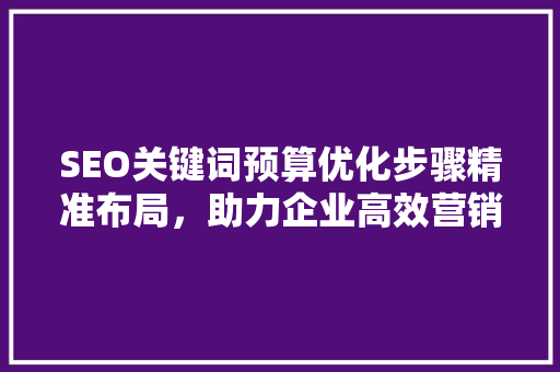 SEO关键词预算优化步骤精准布局，助力企业高效营销 SEO关键词