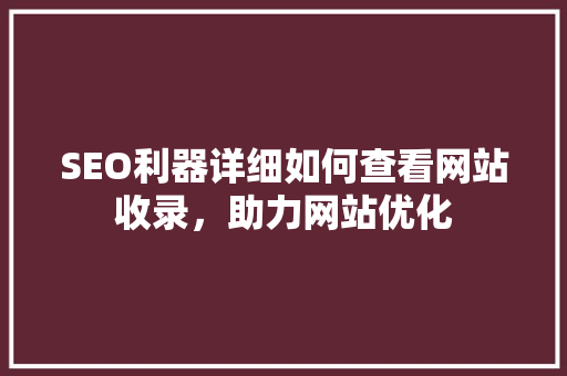SEO利器详细如何查看网站收录，助力网站优化