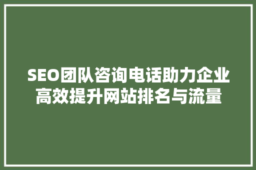 SEO团队咨询电话助力企业高效提升网站排名与流量