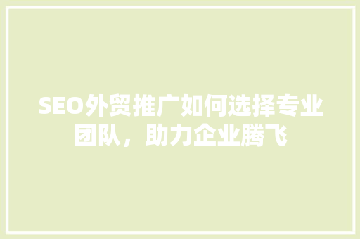 SEO外贸推广如何选择专业团队，助力企业腾飞