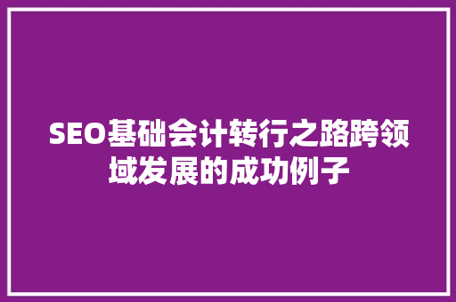 SEO基础会计转行之路跨领域发展的成功例子 网站建设公司