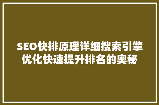 SEO快排原理详细搜索引擎优化快速提升排名的奥秘 必应SEO