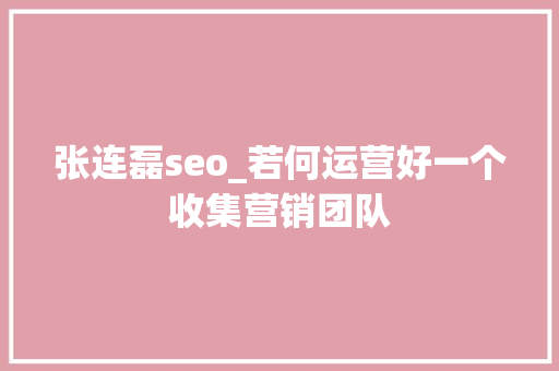 张连磊seo_若何运营好一个收集营销团队 张连磊seo_若何运营好一个收集营销团队 网站建设公司