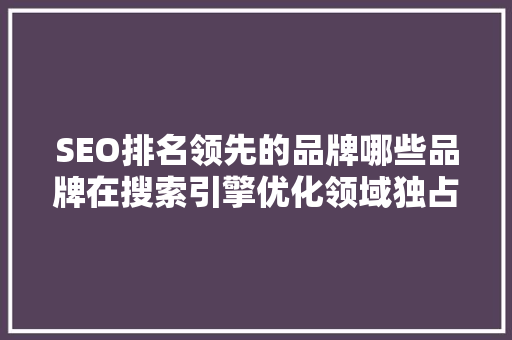 SEO排名领先的品牌哪些品牌在搜索引擎优化领域独占鳌头
