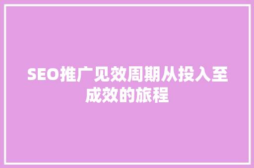SEO推广见效周期从投入至成效的旅程