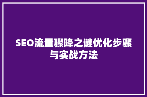 SEO流量骤降之谜优化步骤与实战方法 搜狗SEO