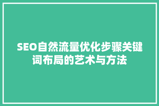 SEO自然流量优化步骤关键词布局的艺术与方法