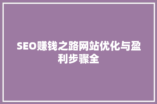SEO赚钱之路网站优化与盈利步骤全 搜狗SEO