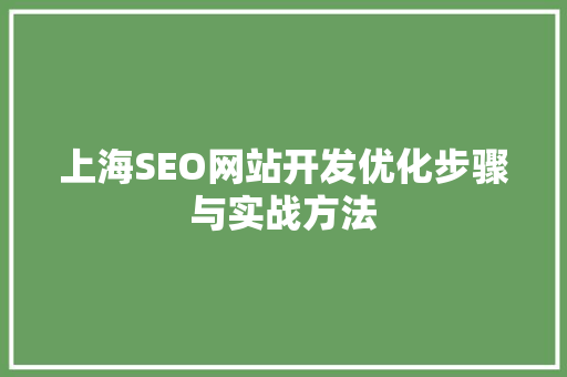 上海SEO网站开发优化步骤与实战方法