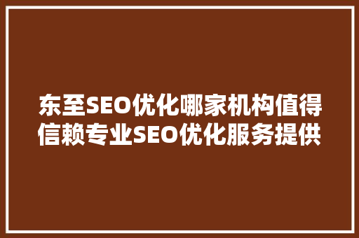 东至SEO优化哪家机构值得信赖专业SEO优化服务提供商