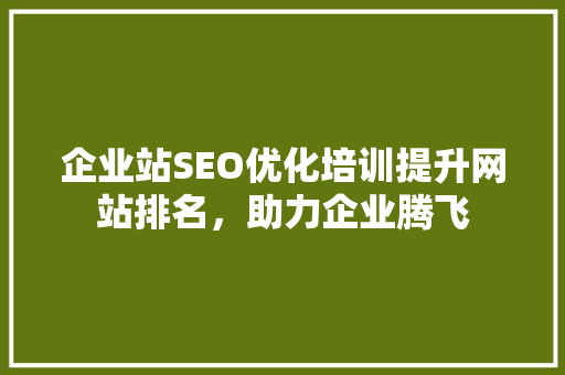 企业站SEO优化培训提升网站排名，助力企业腾飞