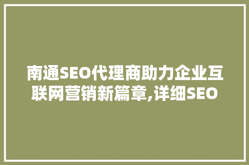 南通SEO代理商助力企业互联网营销新篇章,详细SEO步骤与市场前景 SEO关键词