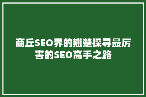 商丘SEO界的翘楚探寻最厉害的SEO高手之路