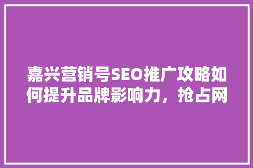 嘉兴营销号SEO推广攻略如何提升品牌影响力，抢占网络市场先机