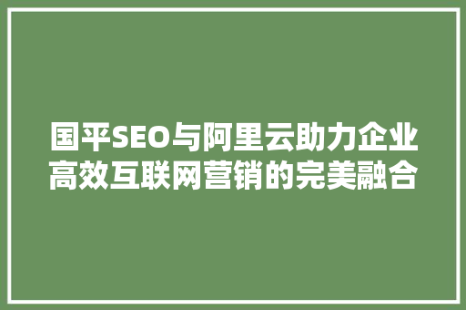 国平SEO与阿里云助力企业高效互联网营销的完美融合 搜狗SEO