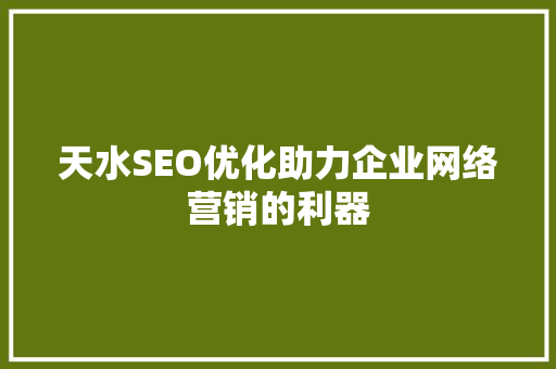 天水SEO优化助力企业网络营销的利器 网站建设公司